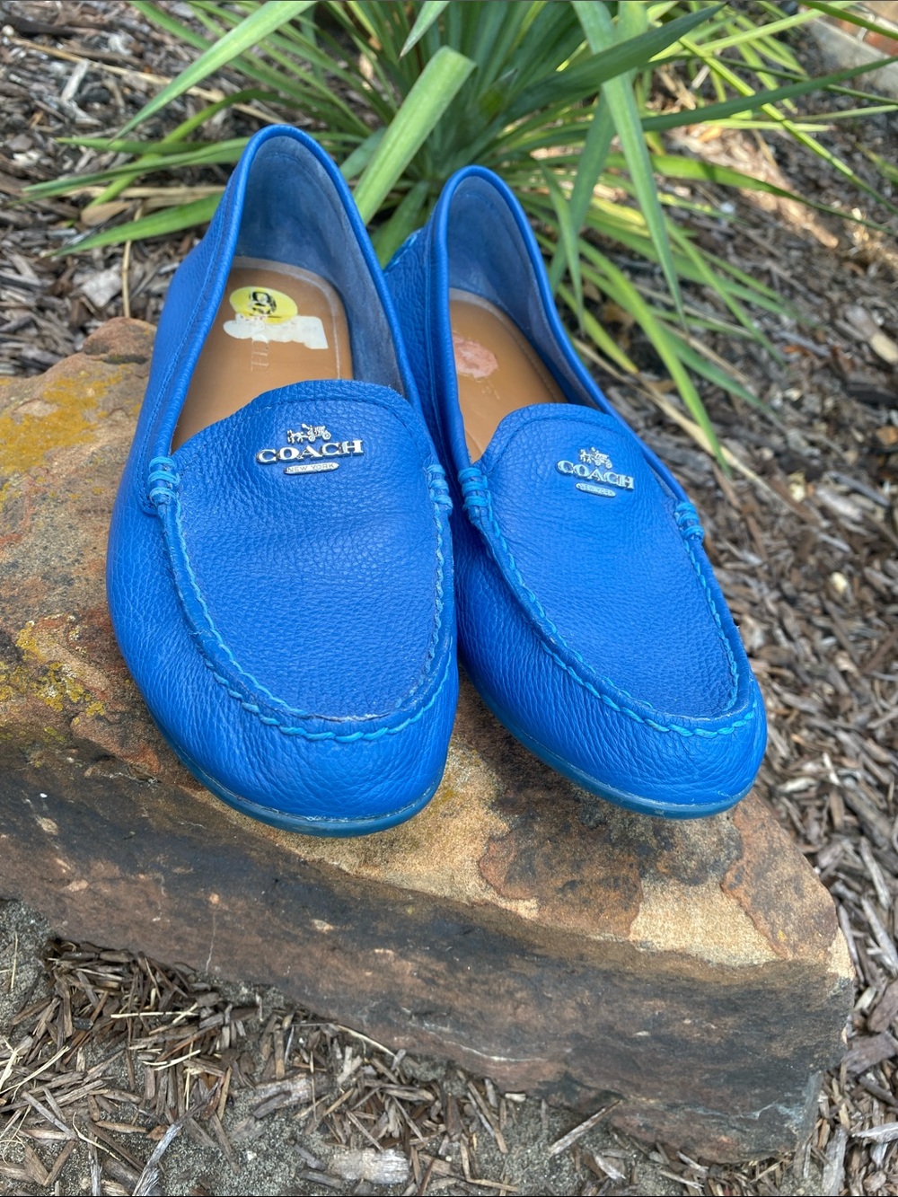 Coach Mary Lockup Blue Leather Flats - Picture 12 of 16